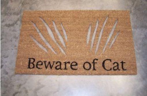 Gift Item for Griha Pravesh - Humorous Door Mat